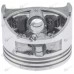 Kit piston Honda GCV 135, GCV 160 64mm (Terra)